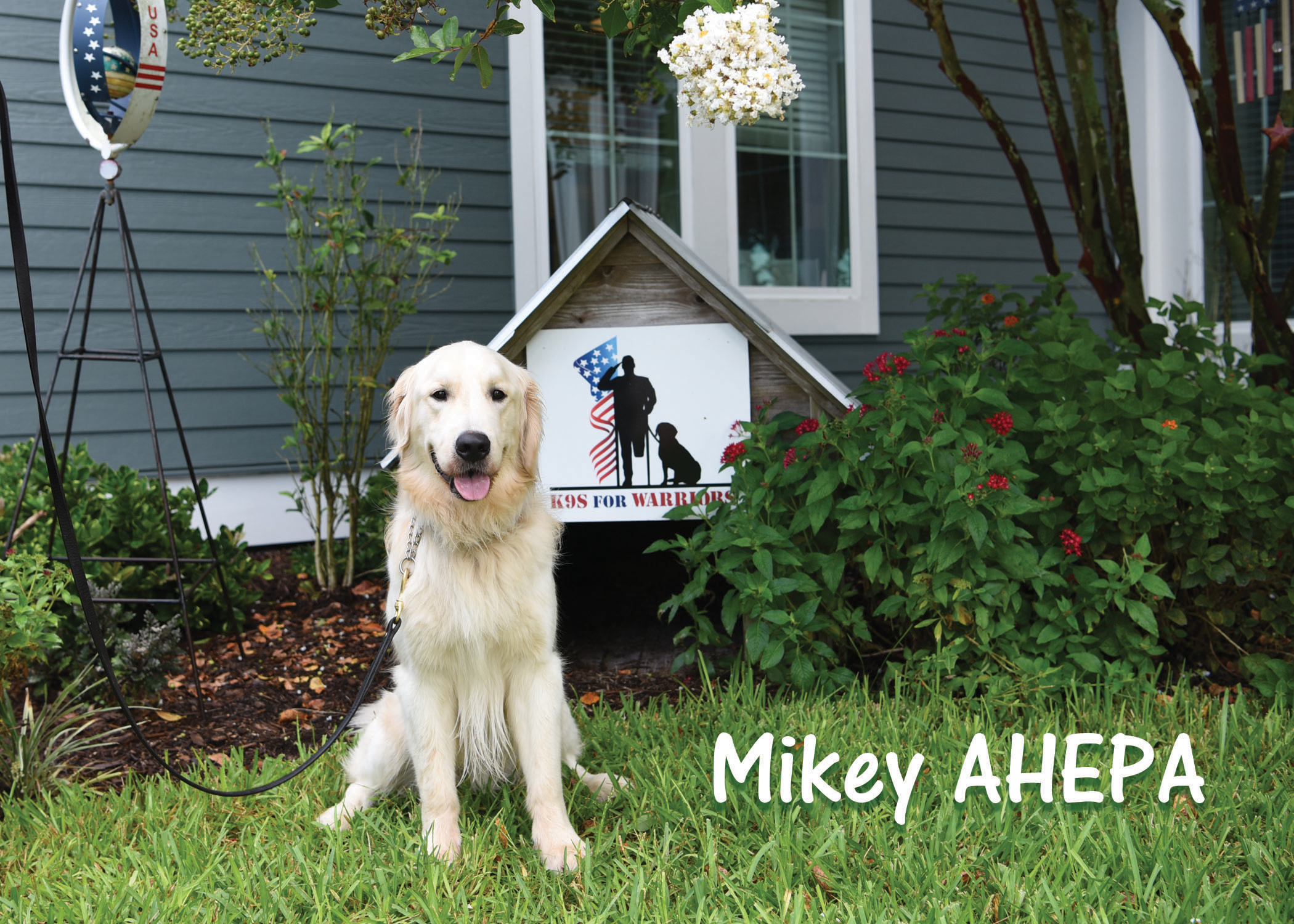 Mikey AHEPA ~ AHEPA Service Dogs for Warriors 